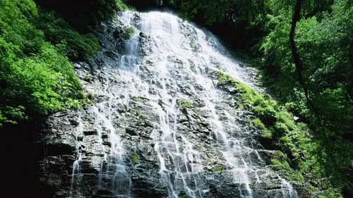 精密先进高端